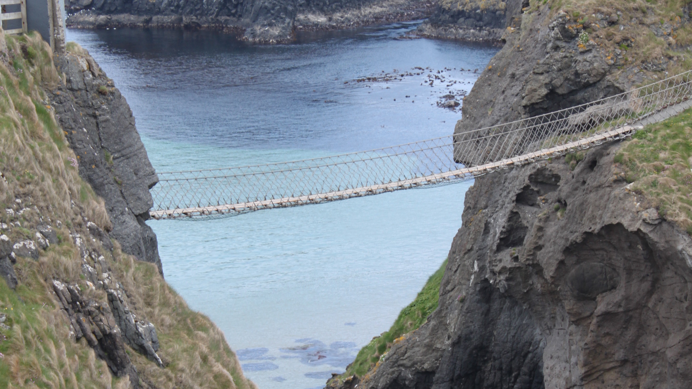 Download a zipped file of promotional materials in the Additional Assets section below.